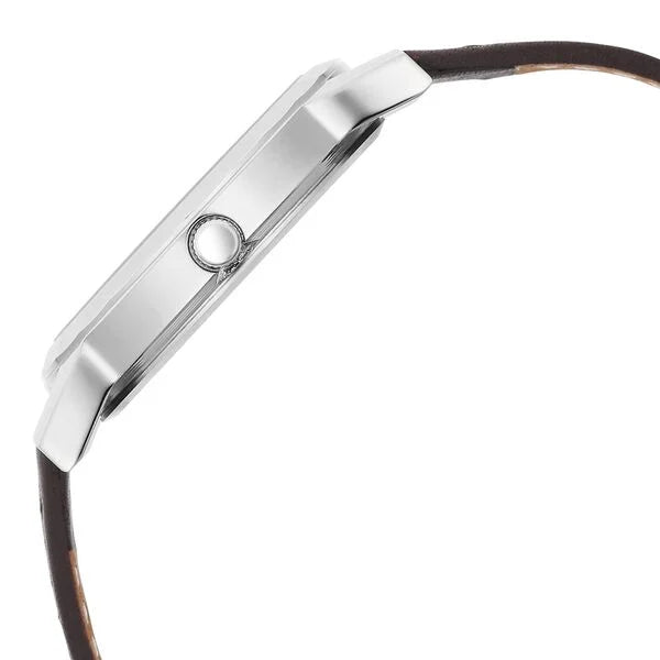 Titan Classic Brown Leather Men's Watch (1644SL01)