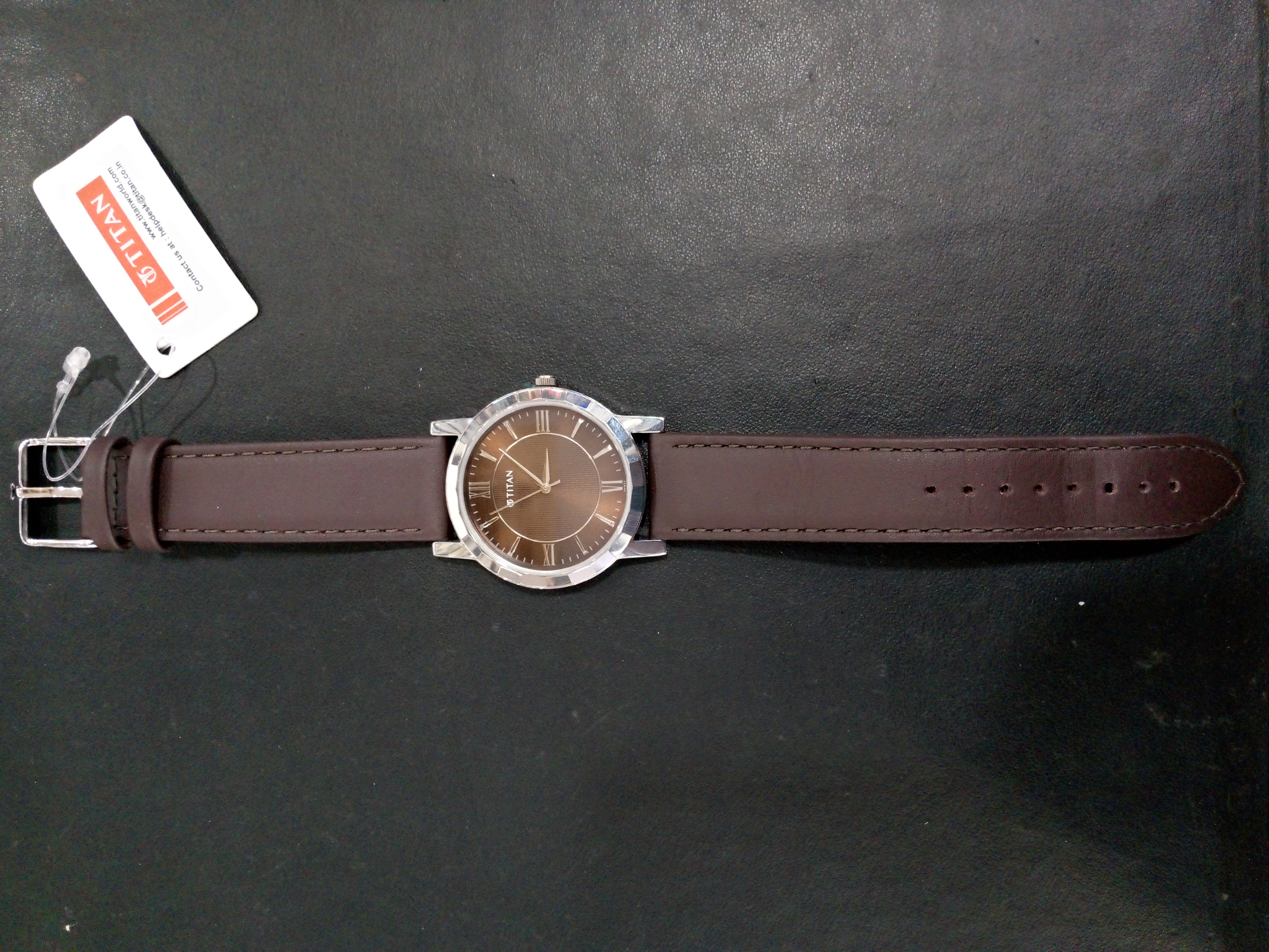 Titan Classic Brown Leather Men's Watch (1644SL01)